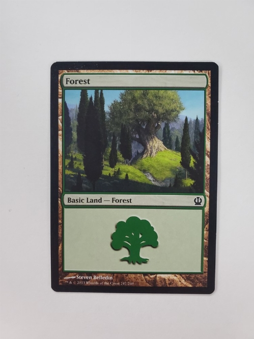 Forest (249/249)