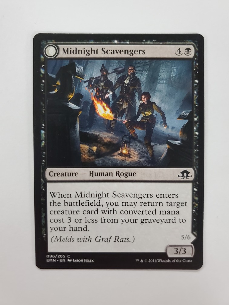 Midnight Scavengers // Chittering Host