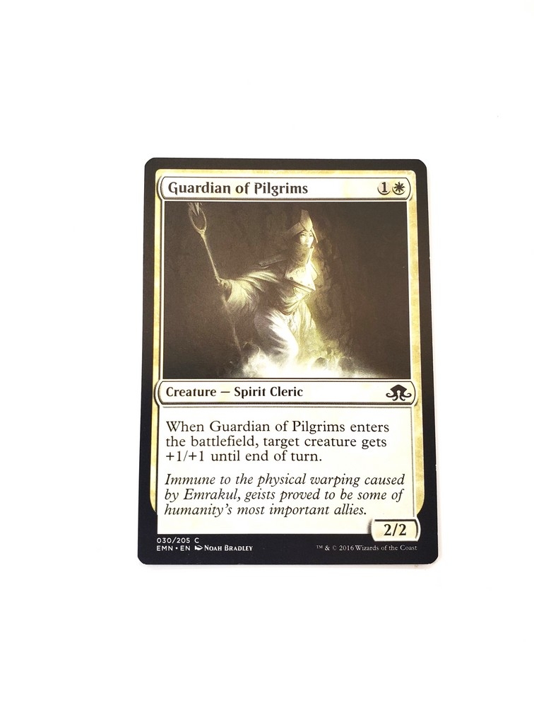 Guardian of Pilgrims