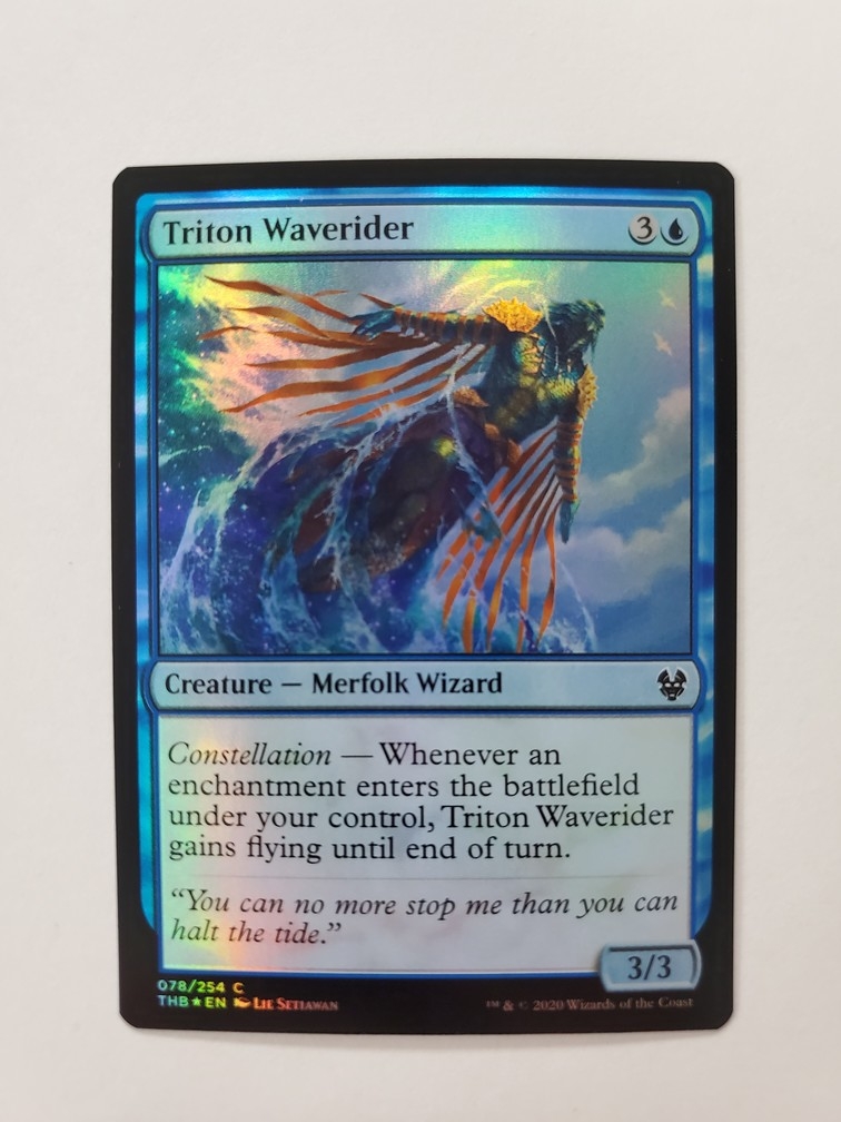 Triton Waverider (Foil)