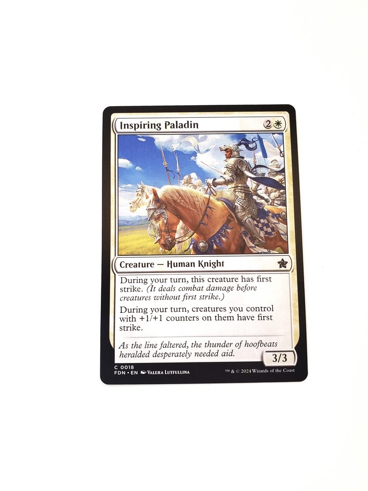 Inspiring Paladin