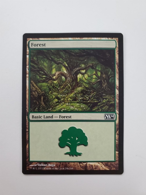 Forest (246/249)