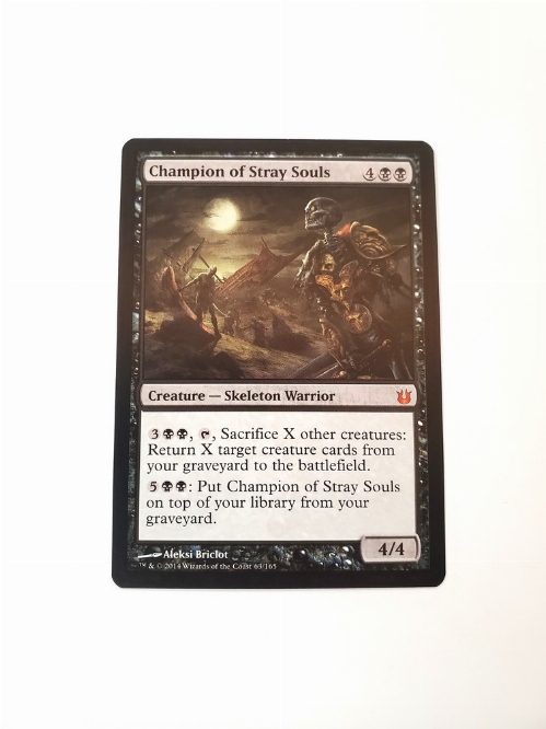 Champion of Stray Souls