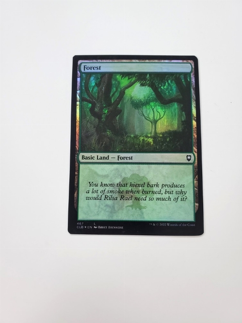 Forest (467) (Foil)