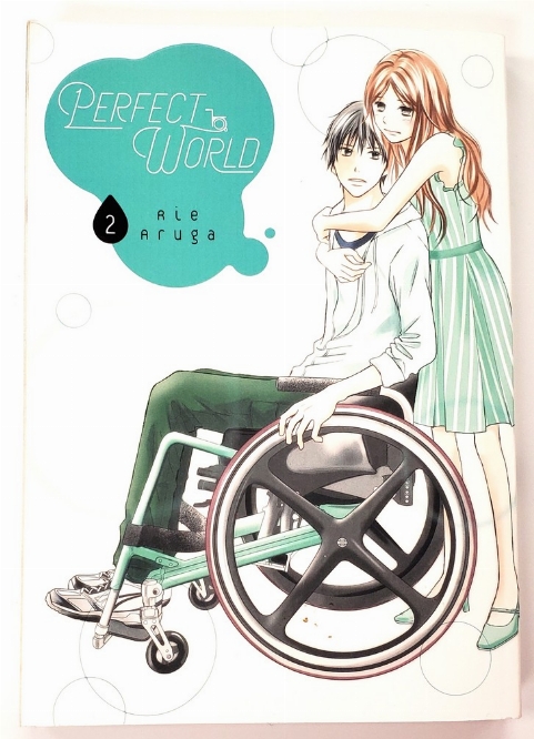 Perfect World (Vol.2) (Anglais)