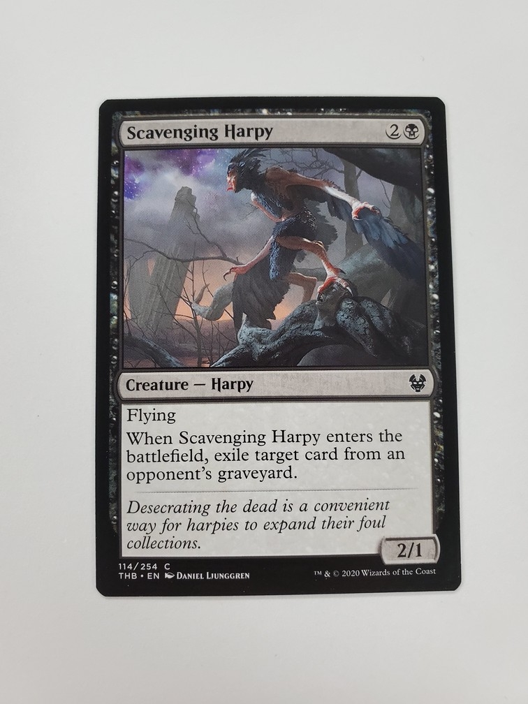 Scavenging Harpy