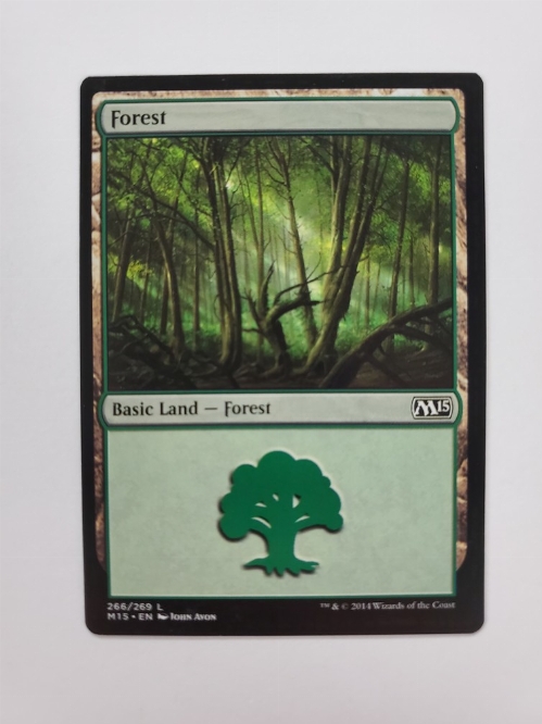 Forest (266/269)
