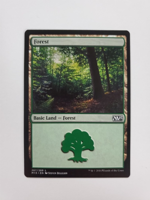 Forest (267/269)