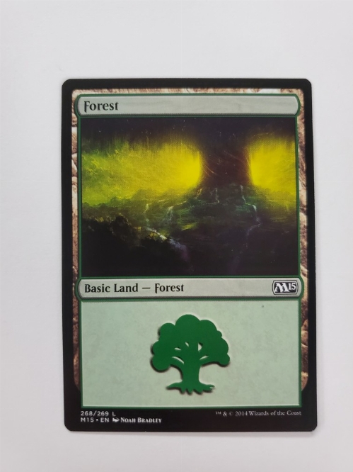 Forest (268/269)