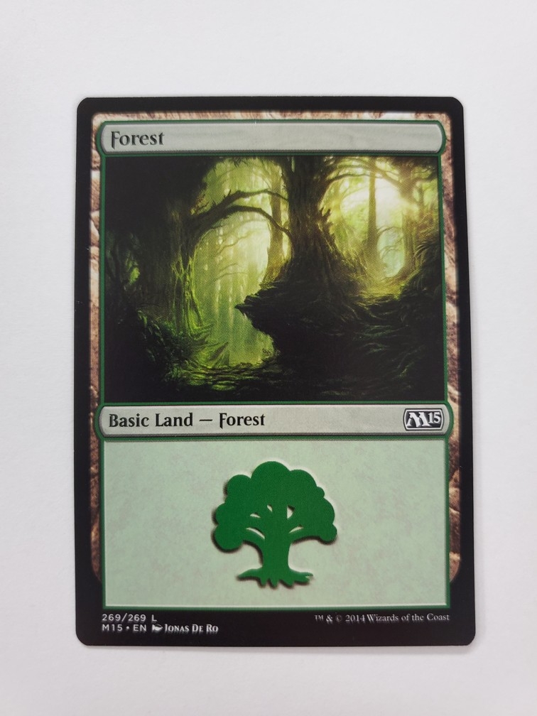 Forest (269/269)