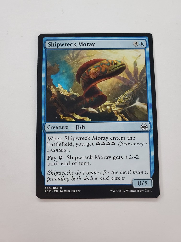 Shipwreck Moray