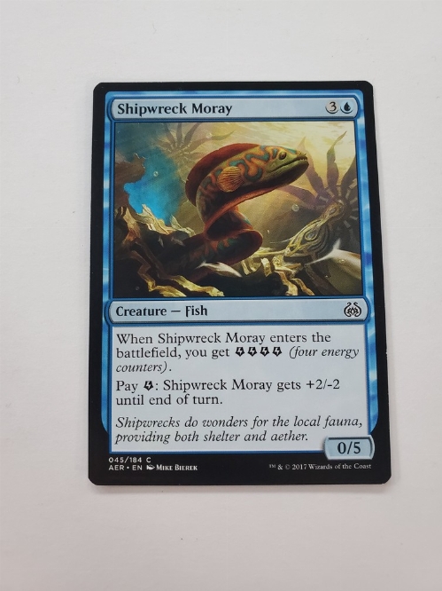 Shipwreck Moray