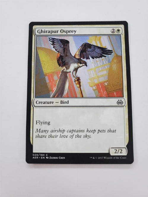 Ghirapur Osprey