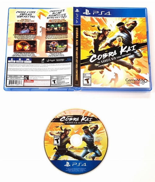 Cobra Kai: The Karate Kid Saga Continues (CIB)