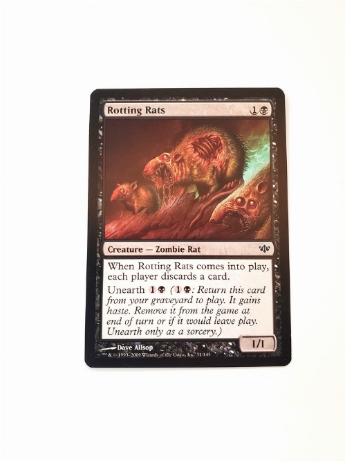 Rotting Rats