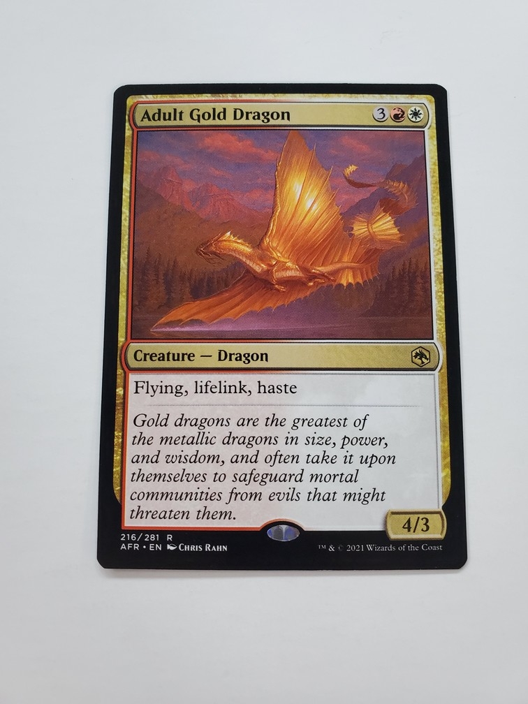 Adult Gold Dragon