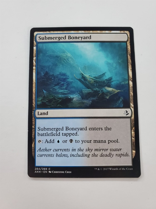 Submerged Boneyard