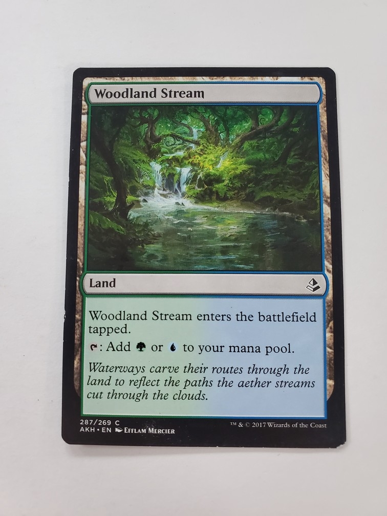 Woodland Stream