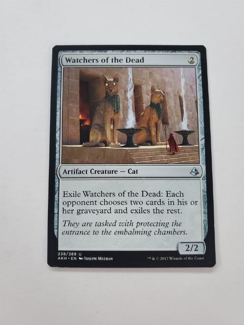 Watchers of the Dead