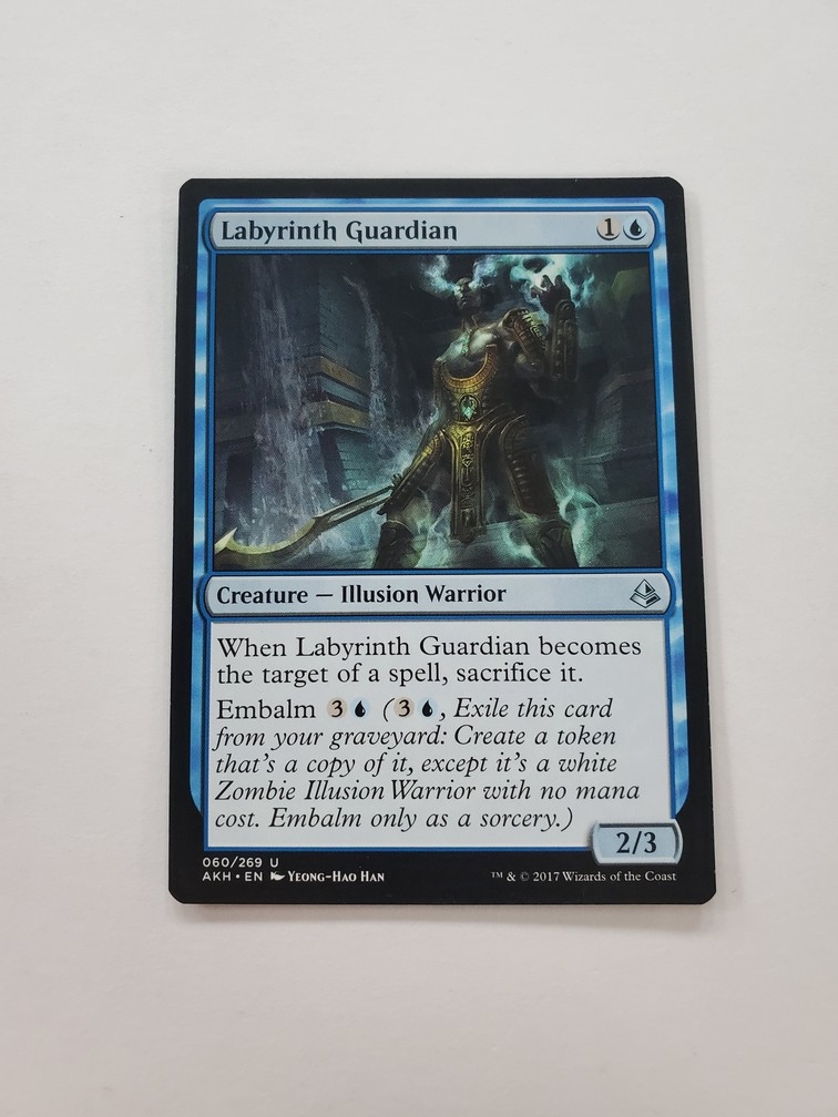 Labyrinth Guardian