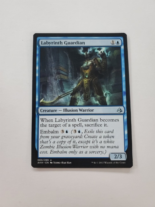 Labyrinth Guardian