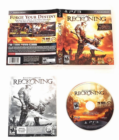 Kingdoms of Amalur: Reckoning (CIB)