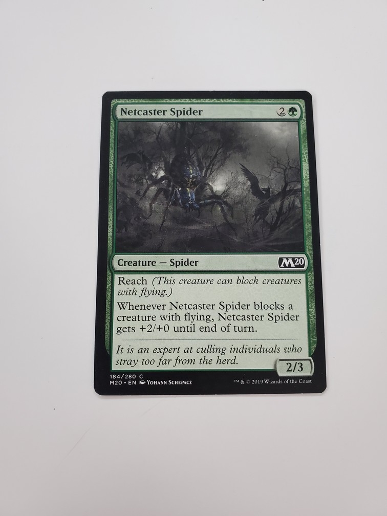 Netcaster Spider