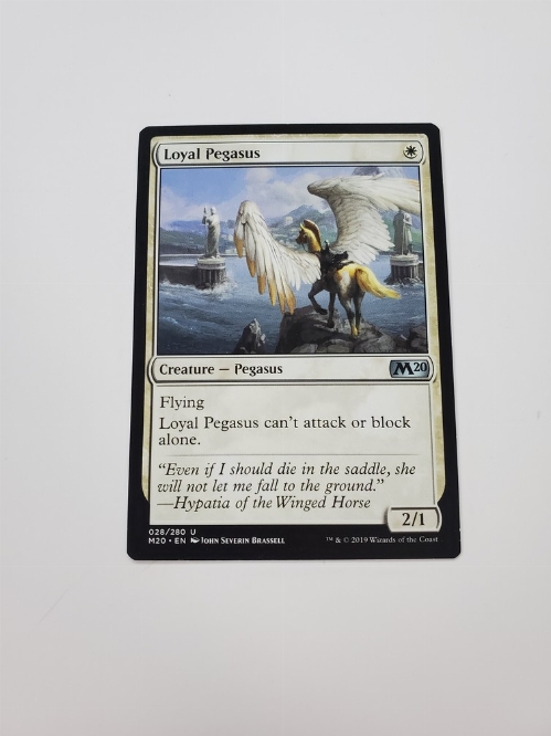 Loyal Pegasus