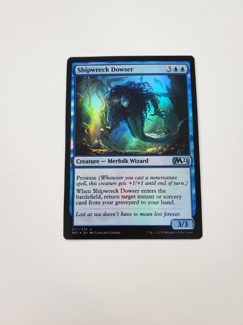 Shipwreck Dowser (Foil)