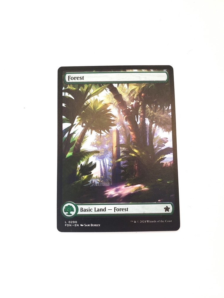 Forest (0290)