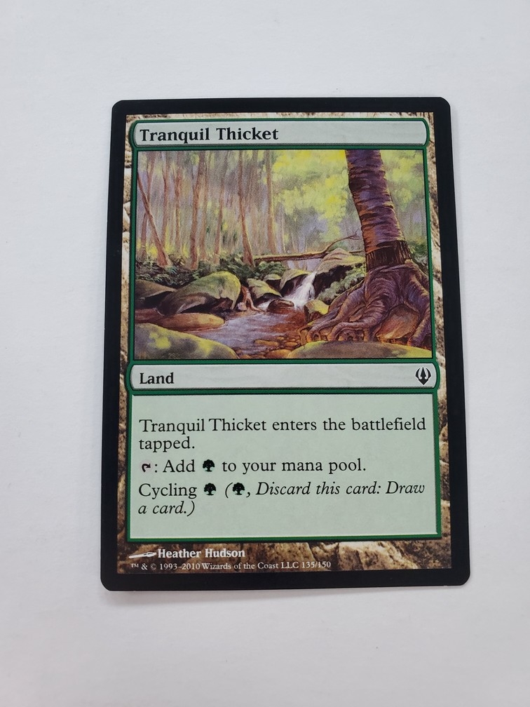 Tranquil Thicket