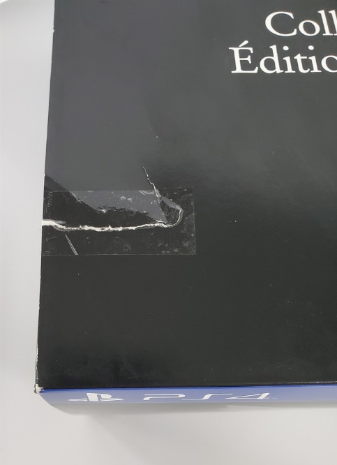 Last Guardian, The [Collector's Edition] (CIB)