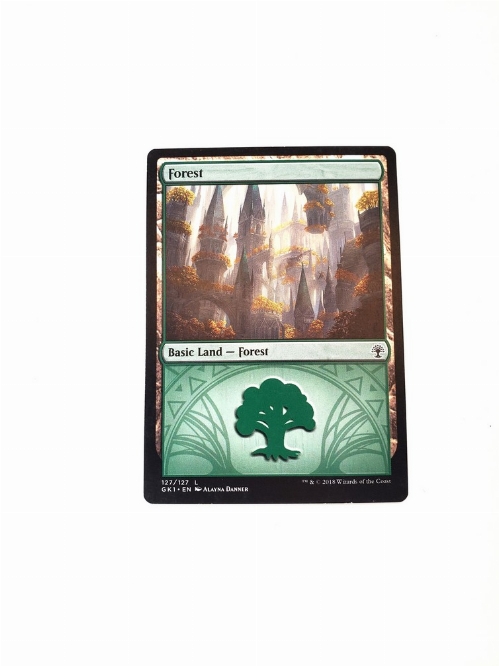 Forest (127)