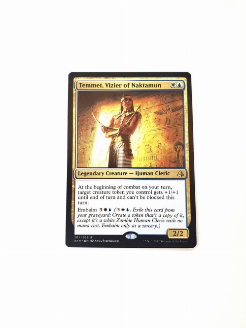 Temmet, Vizier of Naktamun