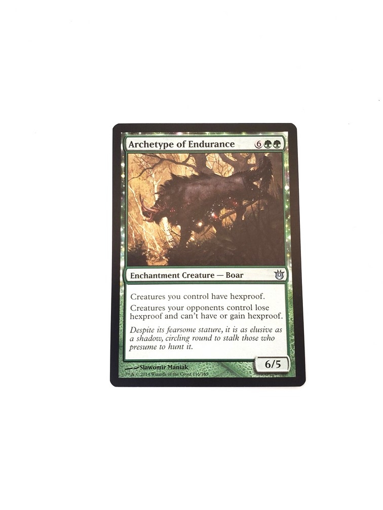 Archetype of Endurance