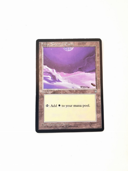 Snow-Covered Plains
