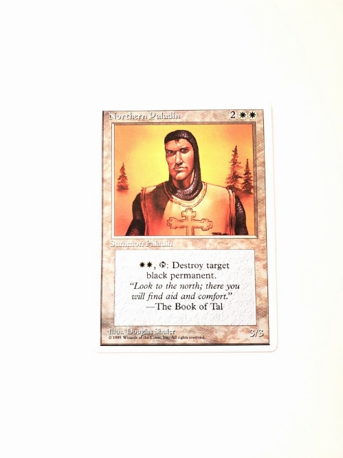 Northern Paladin