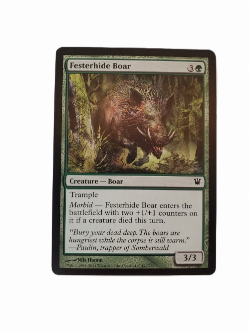Festerhide Boar