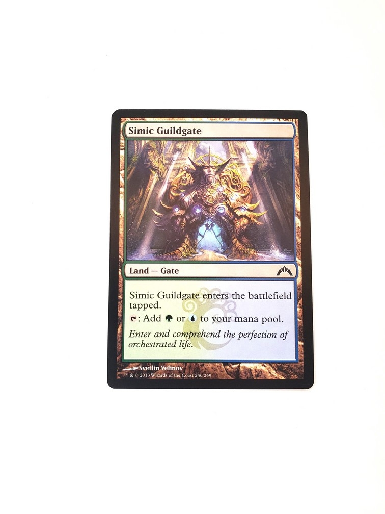 Simic Guildgate