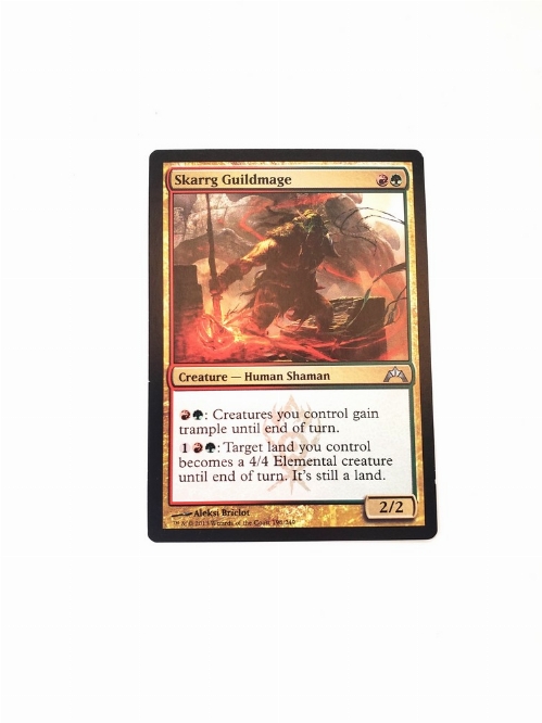 Skarrg Guildmage