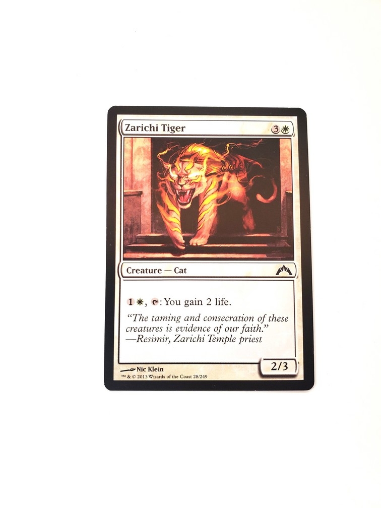 Zarichi Tiger