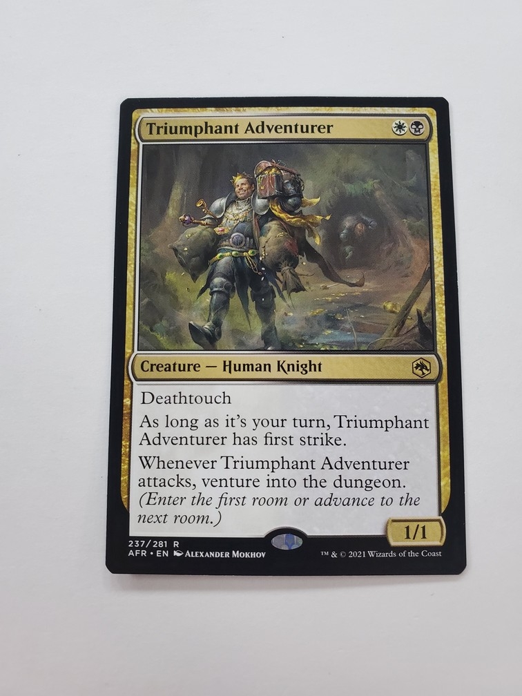 Triumphant Adventurer