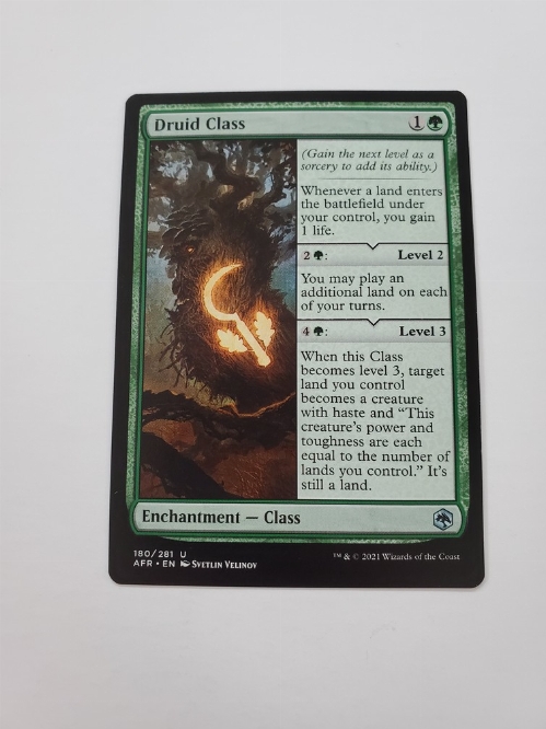 Druid Class