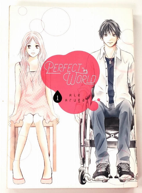 Perfect World (Vol.1) (Anglais)