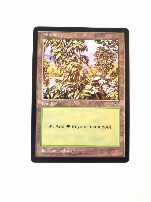 Forest (White Flowers Right)