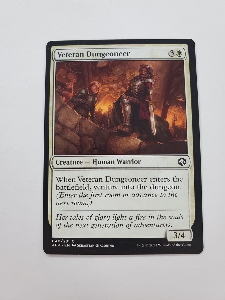 Veteran Dungeoneer