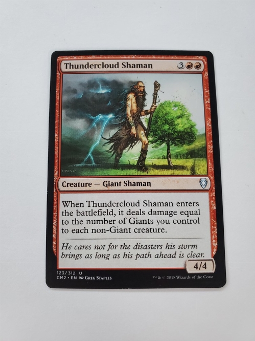 Thundercloud Shaman