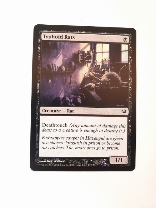 Typhoid Rats