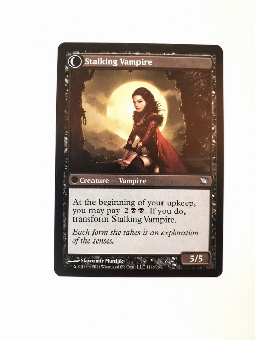Screeching Bat // Stalking Vampire