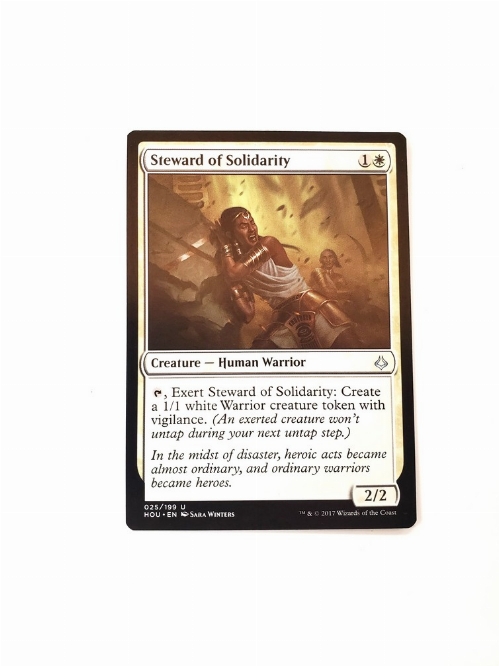 Steward of Solidarity